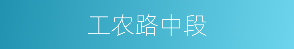 工农路中段的同义词