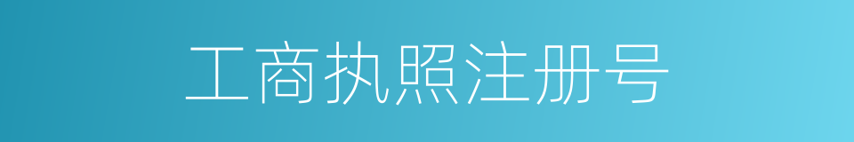 工商执照注册号的同义词