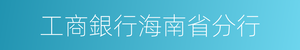 工商銀行海南省分行的同義詞