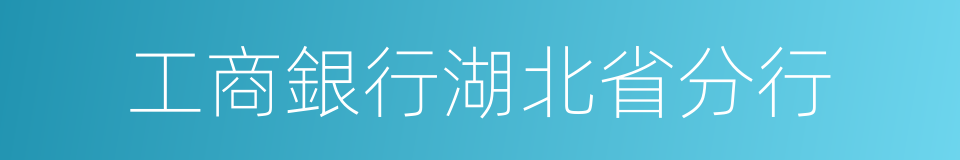 工商銀行湖北省分行的同義詞