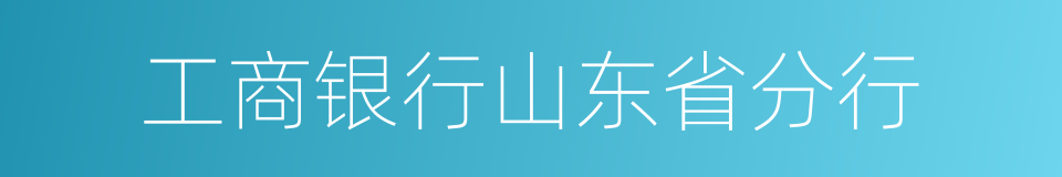 工商银行山东省分行的同义词