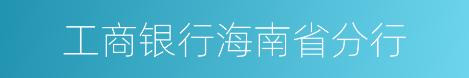 工商银行海南省分行的同义词