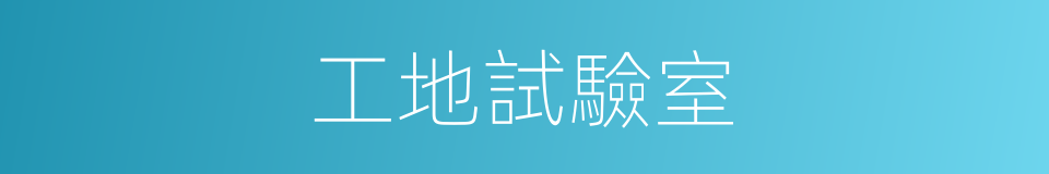 工地試驗室的同義詞