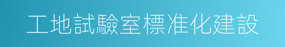工地試驗室標准化建設的同義詞