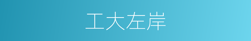 工大左岸的同义词