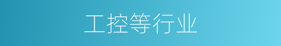 工控等行业的同义词