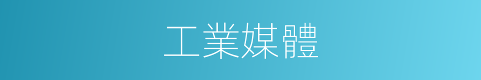 工業媒體的同義詞