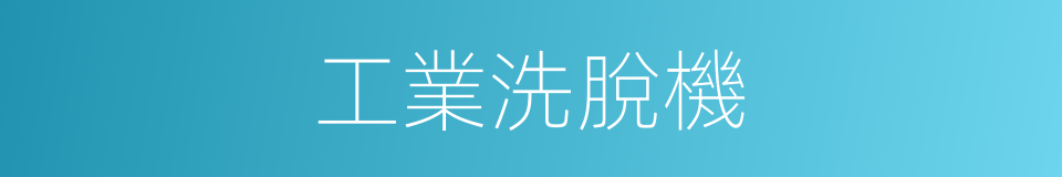 工業洗脫機的同義詞