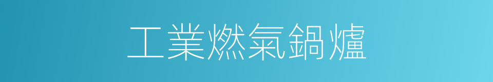 工業燃氣鍋爐的同義詞