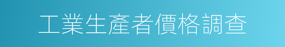 工業生產者價格調查的同義詞