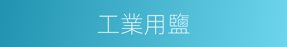 工業用鹽的同義詞