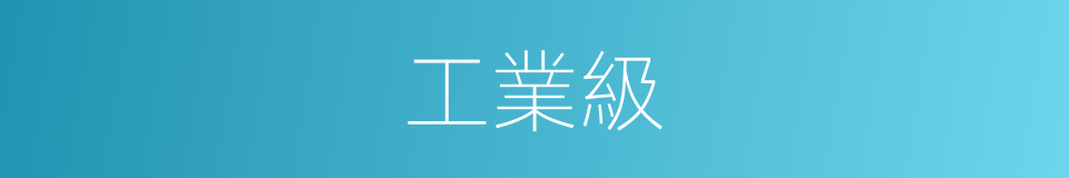 工業級的同義詞