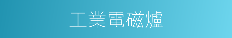 工業電磁爐的同義詞