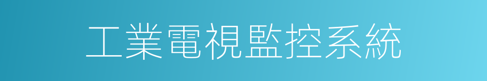 工業電視監控系統的同義詞