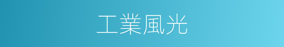 工業風光的同義詞