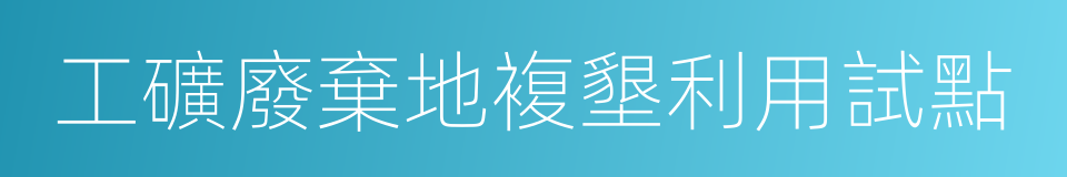 工礦廢棄地複墾利用試點的同義詞