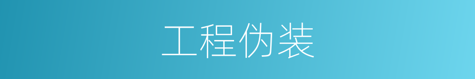 工程伪装的同义词