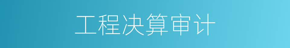 工程决算审计的同义词