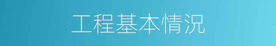 工程基本情況的同義詞
