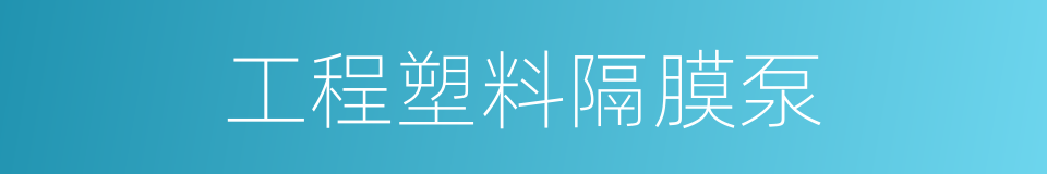 工程塑料隔膜泵的同义词