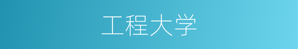 工程大学的同义词