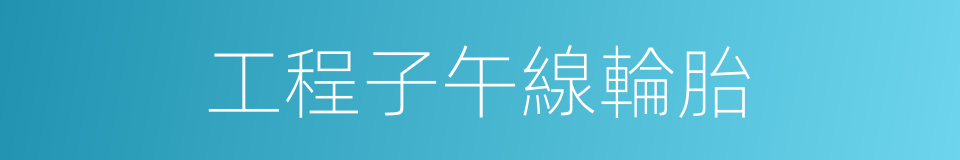 工程子午線輪胎的同義詞