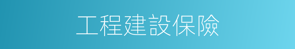 工程建設保險的同義詞
