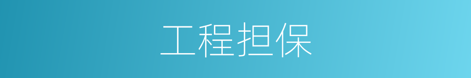 工程担保的同义词