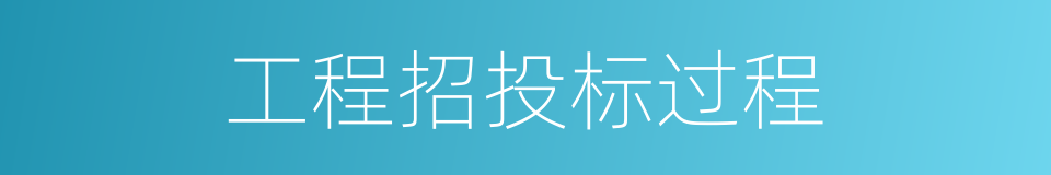 工程招投标过程的同义词