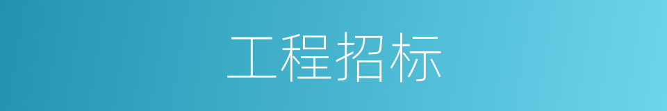 工程招标的同义词