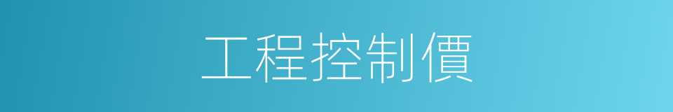 工程控制價的同義詞