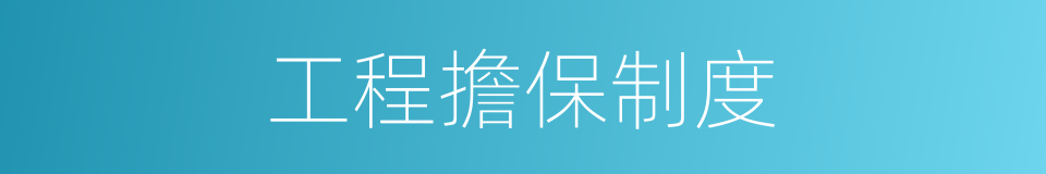 工程擔保制度的同義詞