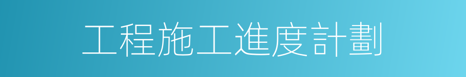 工程施工進度計劃的同義詞