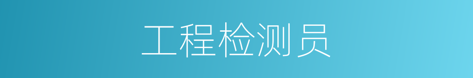 工程检测员的同义词