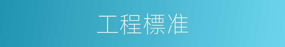 工程標准的同義詞