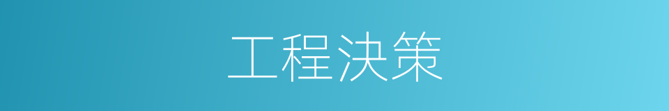 工程決策的同義詞