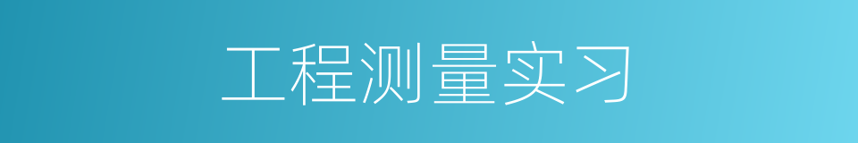 工程测量实习的同义词