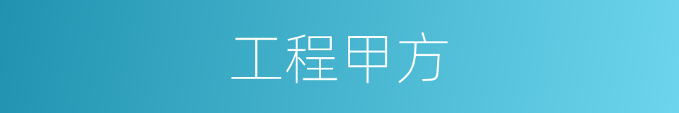 工程甲方的同义词