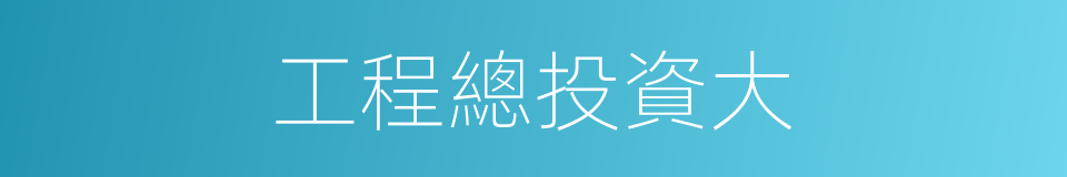 工程總投資大的同義詞