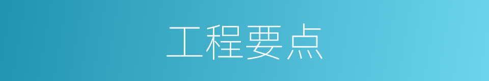 工程要点的同义词