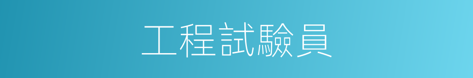 工程試驗員的同義詞