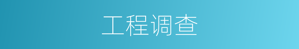 工程调查的同义词