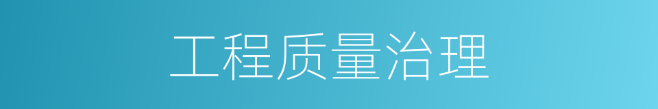 工程质量治理的同义词
