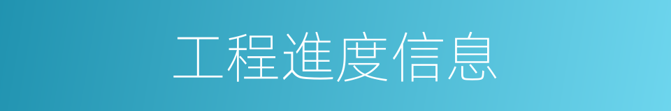 工程進度信息的同義詞