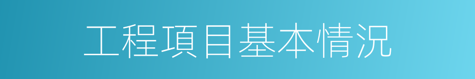 工程項目基本情況的同義詞