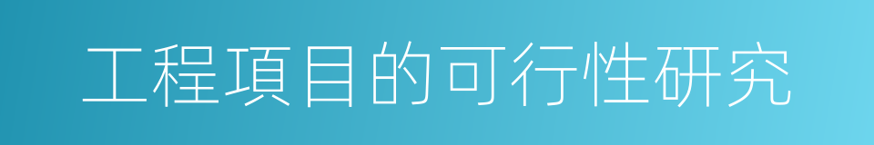 工程項目的可行性研究的同義詞