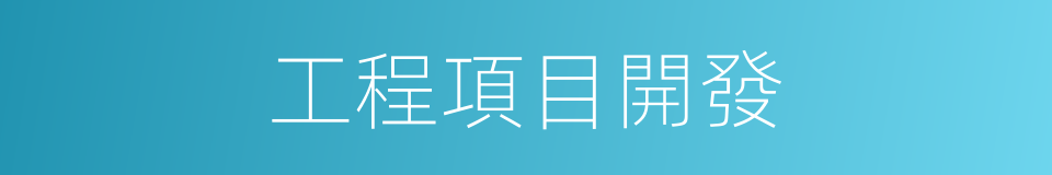 工程項目開發的同義詞