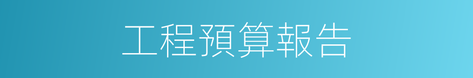 工程預算報告的同義詞