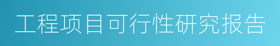 工程项目可行性研究报告的同义词