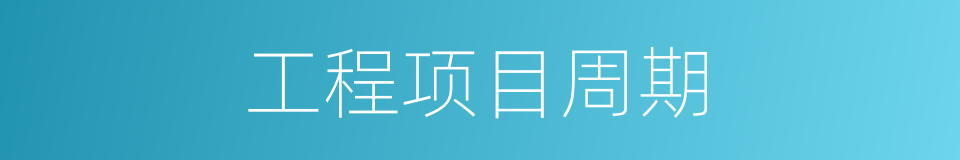 工程项目周期的同义词
